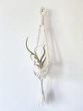 Mini Macrame hanging planter