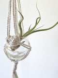 Mini Macrame hanging planter