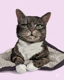 h teagle tabby cat on cushion portrait