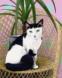h teagle black and white cat portrait