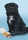 h teagle black fluffy dog portrait