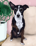 h teagle black and white dog on chair